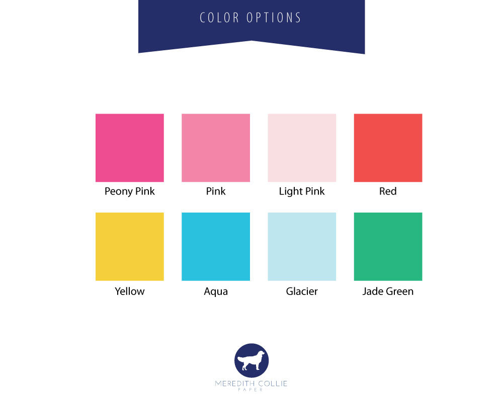 rainbow horse color options