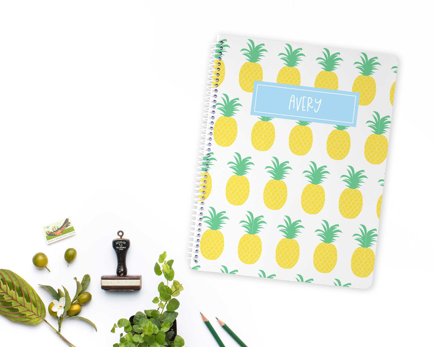 whimsical pineapple pattern, personalized spiral notebook, sketchbook, mini notebook, mini sketchbook, Meredith Collie paper